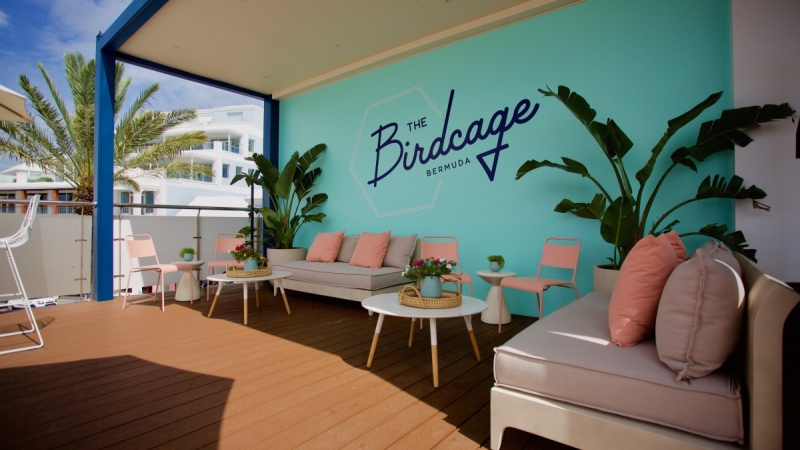 The Birdcage – The Birdcage Lounge